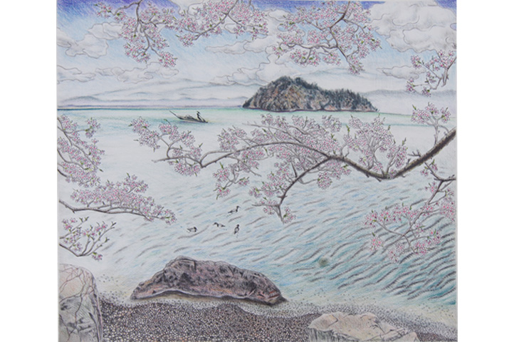 （色鉛筆による下描き作品）「海津大崎の桜」